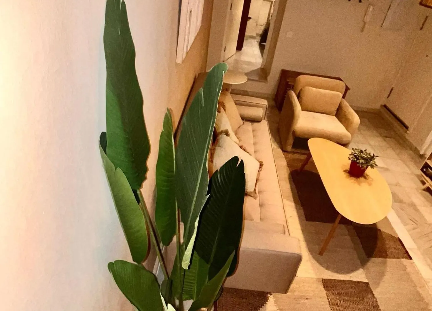 Wish Suite San Roman Seville Spain